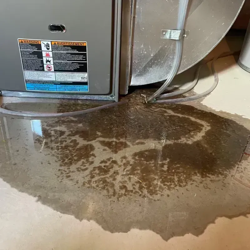 Appliance Leak Cleanup in Monticello, AR